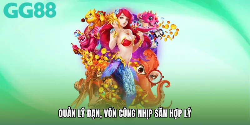 Quản lý đạn, vốn cùng nhịp săn hợp lý